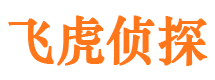 田阳私家侦探公司